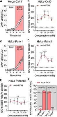 Acute activation of hemichannels by ethanol leads to Ca2+-dependent gliotransmitter release in astrocytes